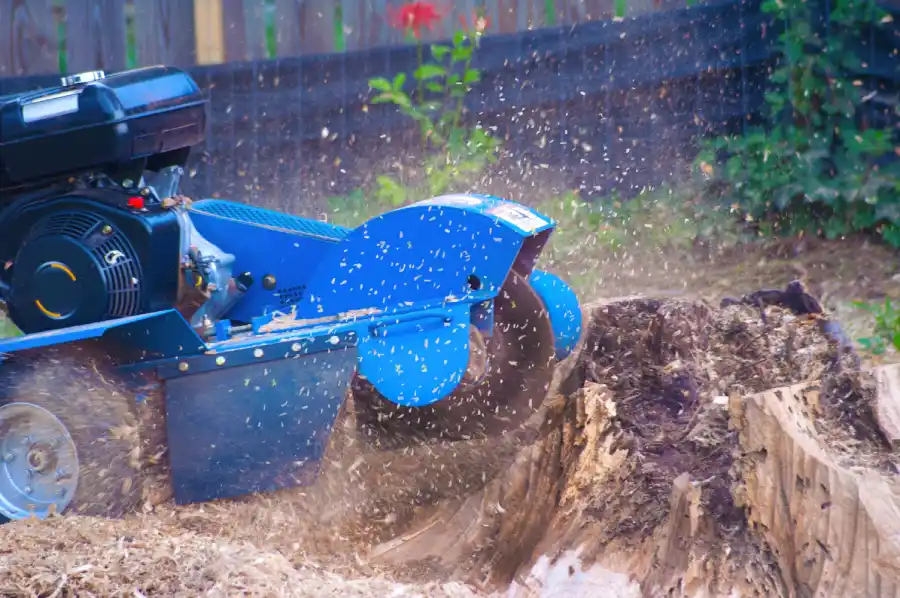 Stump Grinding