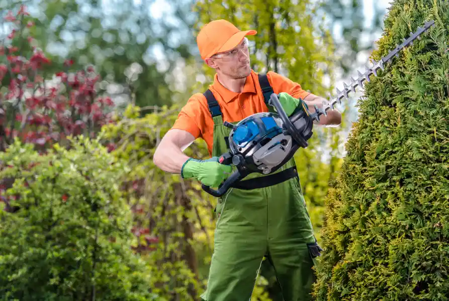 Tree Trimming Service